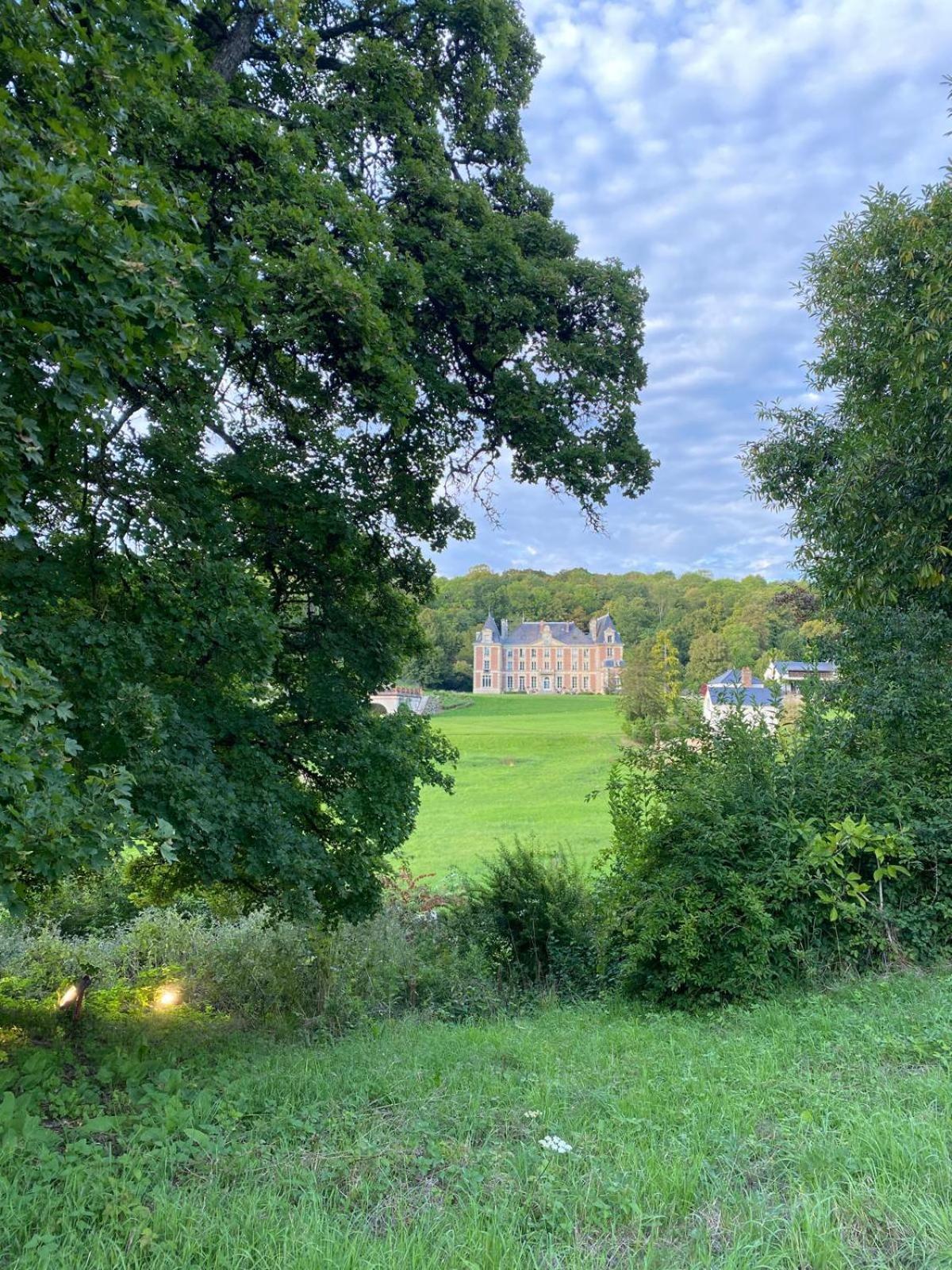 Chateau De La Bucherie Saint-Cyr-en-Arthies Esterno foto